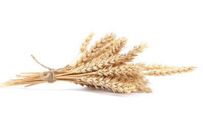 Organic durum wheat semolina
